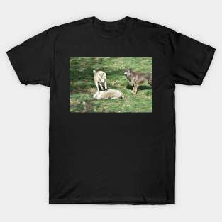 Wolves T-Shirt